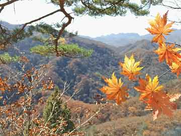 澳門六開彩今日開獎(jiǎng)結(jié)果及其背后的故事，澳門六開彩今日開獎(jiǎng)結(jié)果揭秘，背后的故事引人關(guān)注