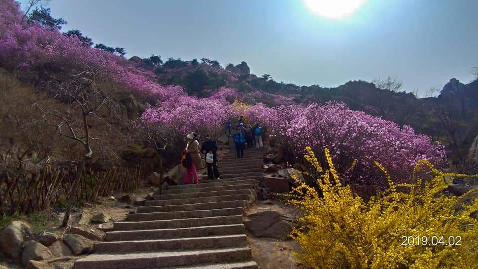 大珠山風景區(qū)最新攻略，大珠山風景區(qū)最新旅游攻略