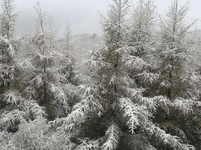 江蘇徐州下雪最新消息，雪落徐州，美景如畫，江蘇徐州雪落美景，雪飄如詩如畫