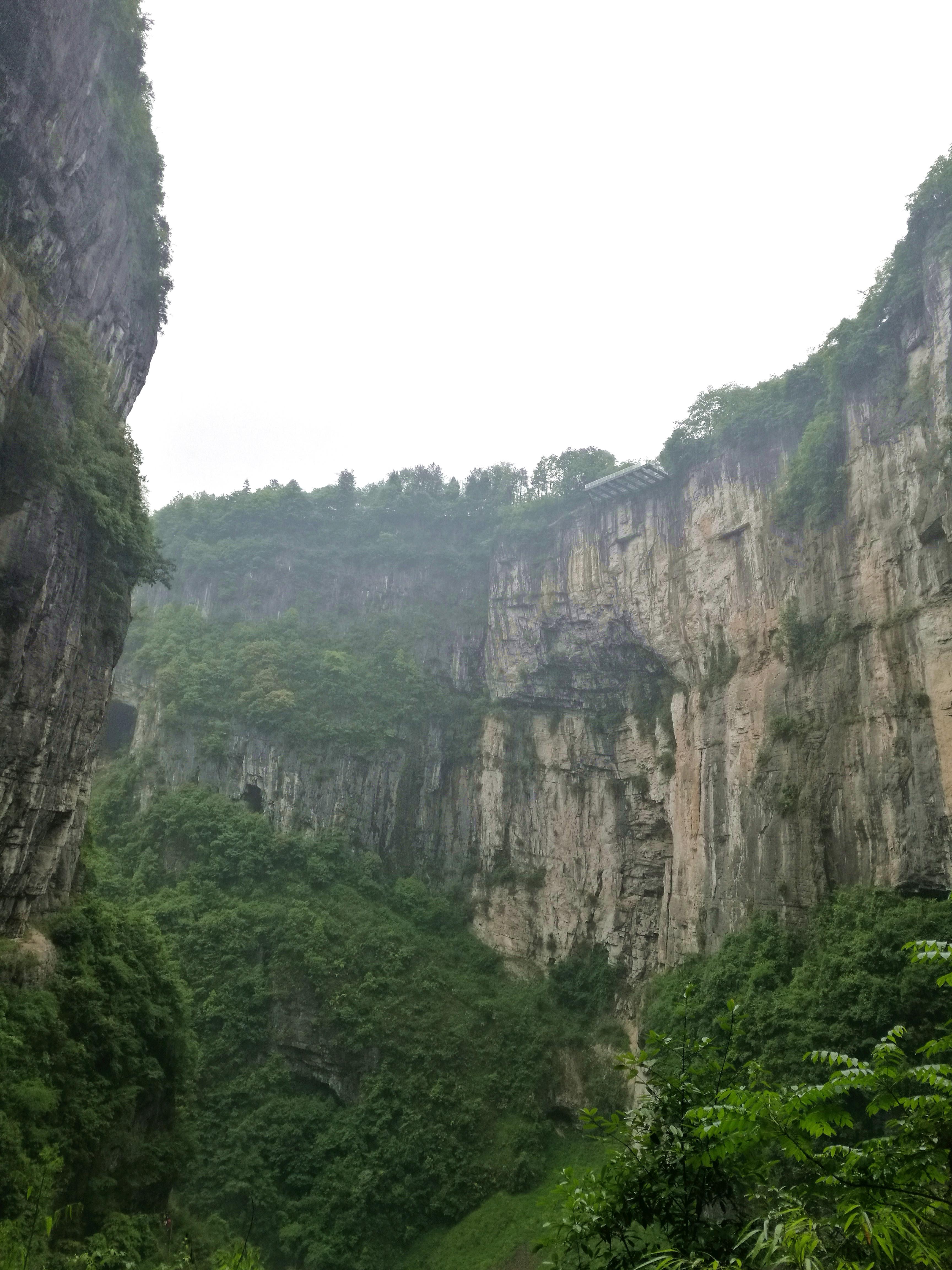 最新重慶武隆仙女山，自然美景與人文魅力的交融，重慶武隆仙女山，自然與人文的絕美交融之地