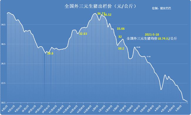 豬肉最新價(jià)格動態(tài)分析，豬肉最新價(jià)格動態(tài)解析報(bào)告