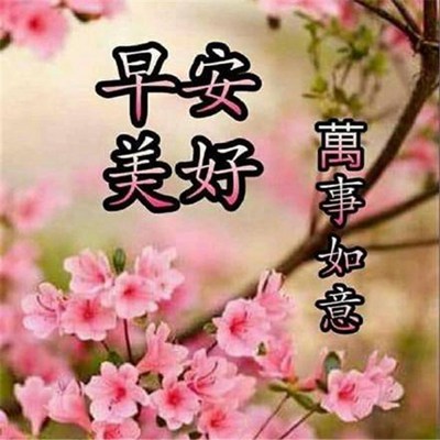 早上好最新祝福圖片，開啟美好的一天，早上好最新祝福圖片，開啟美好一天的溫馨問候