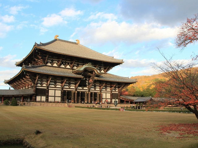 琉璃神社最新動(dòng)態(tài)與影響探究，琉璃神社最新動(dòng)態(tài)及影響深度探究