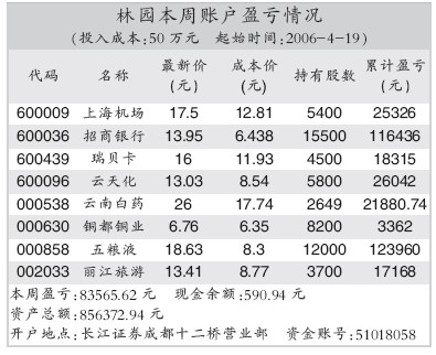 林園持股一覽表，深度解析與策略展望，林園持股全景解析及策略展望