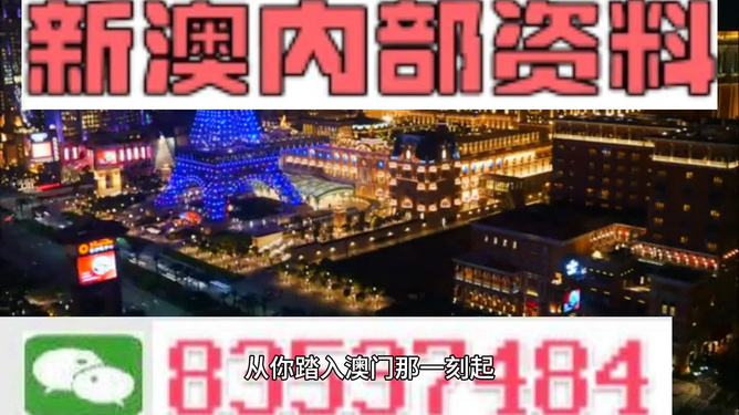 探索2024年新澳門免費資料大全，深度解析與實用指南，澳門免費資料解析與實用指南，深度探索與犯罪警示