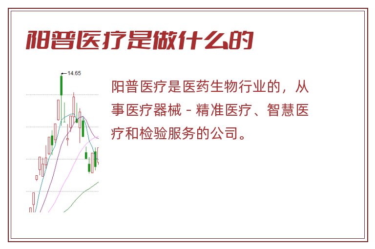 陽普醫(yī)療最新消息綜述，陽普醫(yī)療最新消息綜述，全面解讀發(fā)展動態(tài)