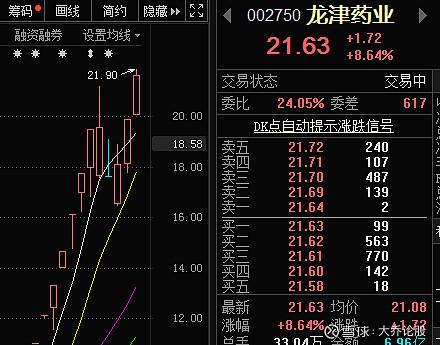 龍津藥業(yè)最新消息全面解析，龍津藥業(yè)最新動(dòng)態(tài)全面解讀