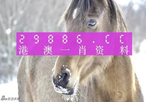 最準(zhǔn)一肖一碼100%澳門,專家說明意見_頂級版33.640