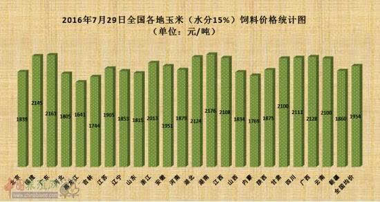 甘肅玉米價格最新行情分析，甘肅玉米價格最新行情解析