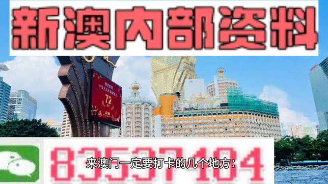 澳門正版精準(zhǔn)免費(fèi)大全——揭示違法犯罪問題，澳門正版精準(zhǔn)免費(fèi)大全揭秘違法犯罪問題