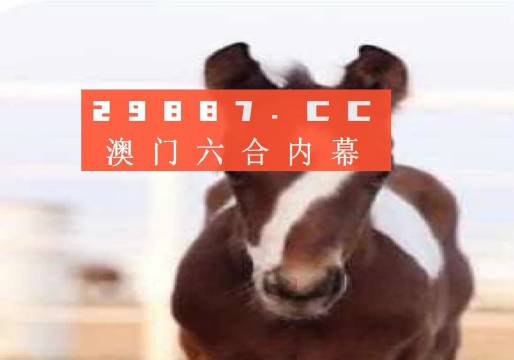 澳門一肖一碼一一特一中廠，探索神秘數(shù)字背后的故事，澳門一肖一碼，神秘數(shù)字背后的故事探索