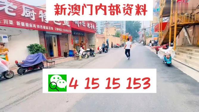 2024新澳天天開(kāi)好彩大全，決策資料解析說(shuō)明_儲(chǔ)蓄版62.67.17