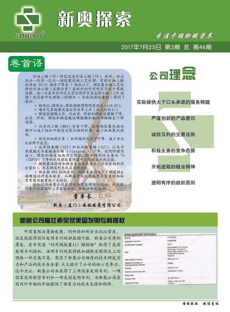 揭秘2024新奧精準(zhǔn)正版資料，全方位解讀與應(yīng)用策略，揭秘2024新奧精準(zhǔn)正版資料，全方位解讀與策略應(yīng)用指南