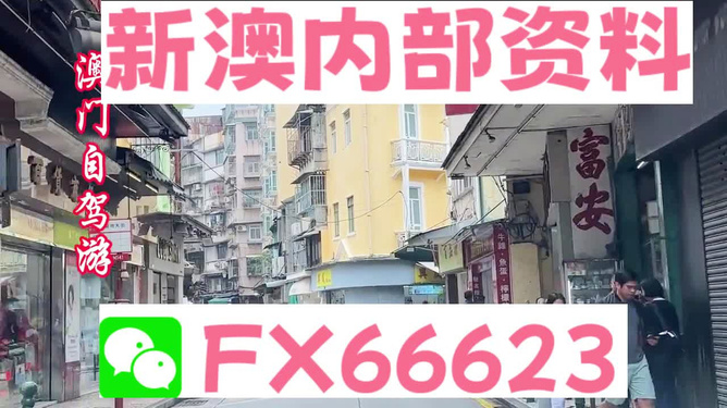 新奧精準(zhǔn)免費(fèi)資料提供，探索與啟示，新奧精準(zhǔn)免費(fèi)資料探索，啟示與分享