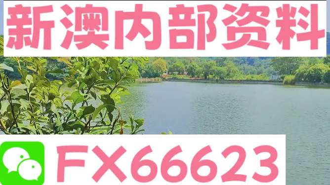 新澳精準資料免費提供305，探索與分享，新澳精準資料探索與分享305免費大全