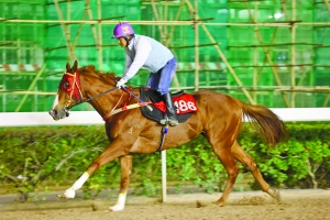 澳門今晚開特馬四不像圖,實地解析說明_至尊版41.463