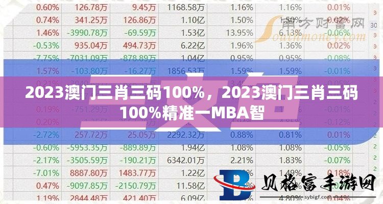 澳門三碼三碼精準(zhǔn)100%,精細(xì)評估解析_HT46.571