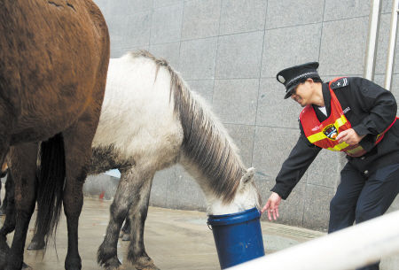 澳門今晚開特馬四不像圖——警惕賭博犯罪風(fēng)險(xiǎn)，澳門警惕，四不像圖背后的賭博犯罪風(fēng)險(xiǎn)