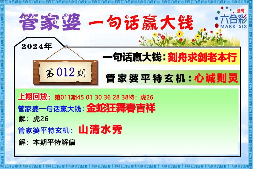 管家婆6選1肖中的智慧與策略，管家婆6選1肖的智慧與策略之道