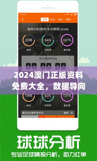 2024澳門正版資料免費大全,統(tǒng)計解答解析說明_娛樂版96.48