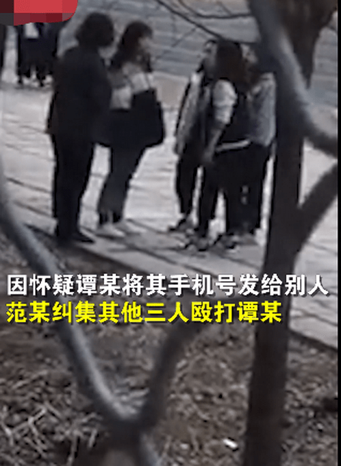 校園暴力事件，三名初中生校內遭群毆的反思與應對，校園暴力事件引發深思，應對初中生校內群毆的反思與策略