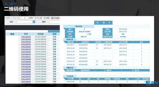 今晚澳門特馬開什么今晚四不像,快捷問題計劃設計_Surface35.910