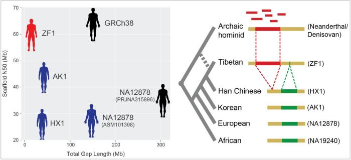 澳門新三碼必中一免費(fèi),科學(xué)評估解析_經(jīng)典款68.360