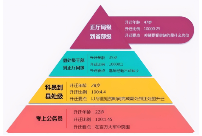 揭秘澳門一碼一肖一特一中是否公開公正