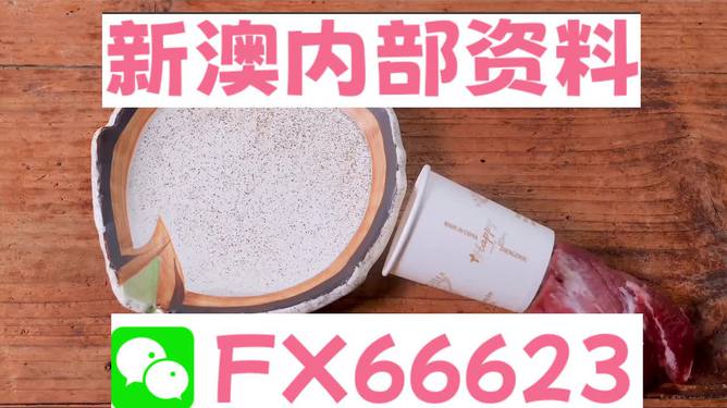 新澳精準(zhǔn)資料免費提供最新版,動態(tài)調(diào)整策略執(zhí)行_視頻版19.573