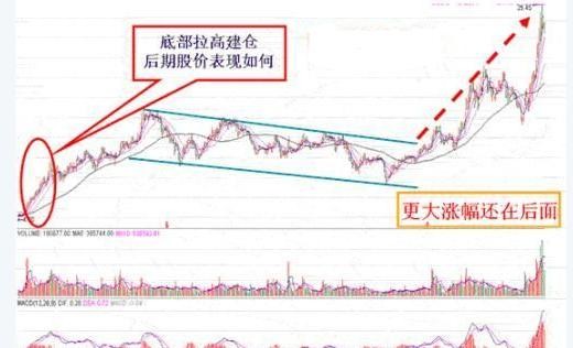 投資必看：鳳凰網(wǎng)最準一碼一肖100%成功案例分享