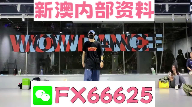 新澳門2024年資料大全管家婆，探索與解讀，澳門未來展望，解讀新澳門2024年資料大全與管家婆探索揭秘