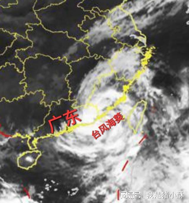 最近臺風(fēng)最新消息，影響與應(yīng)對之策，臺風(fēng)最新動態(tài)，影響及應(yīng)對策略