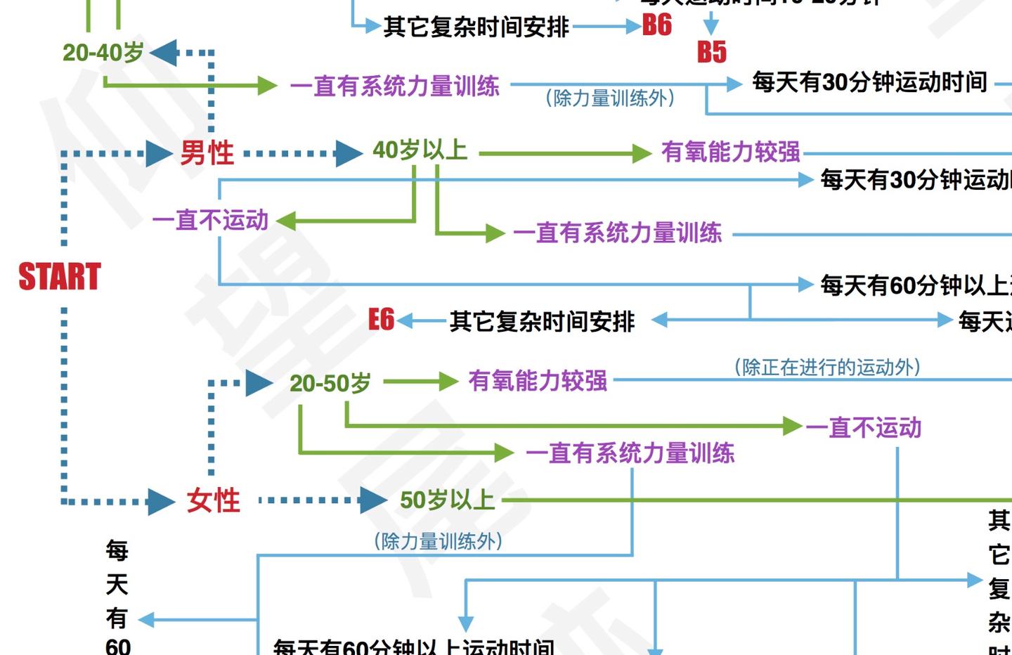 運動減肥計劃詳細方案，運動減肥計劃全面指南