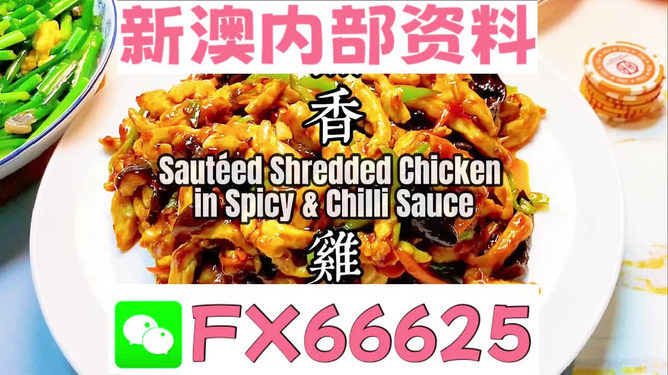 新奧天天精準資料大全，探索與洞察，新奧天天精準資料大全，探索與洞察的洞察