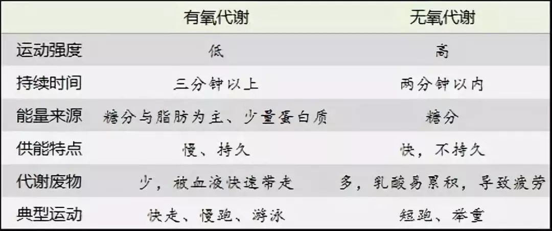 有氧與無氧運動的區別，理解其差異，實現健康最大化，有氧與無氧運動的差異解析，實現健康最大化的關鍵理解